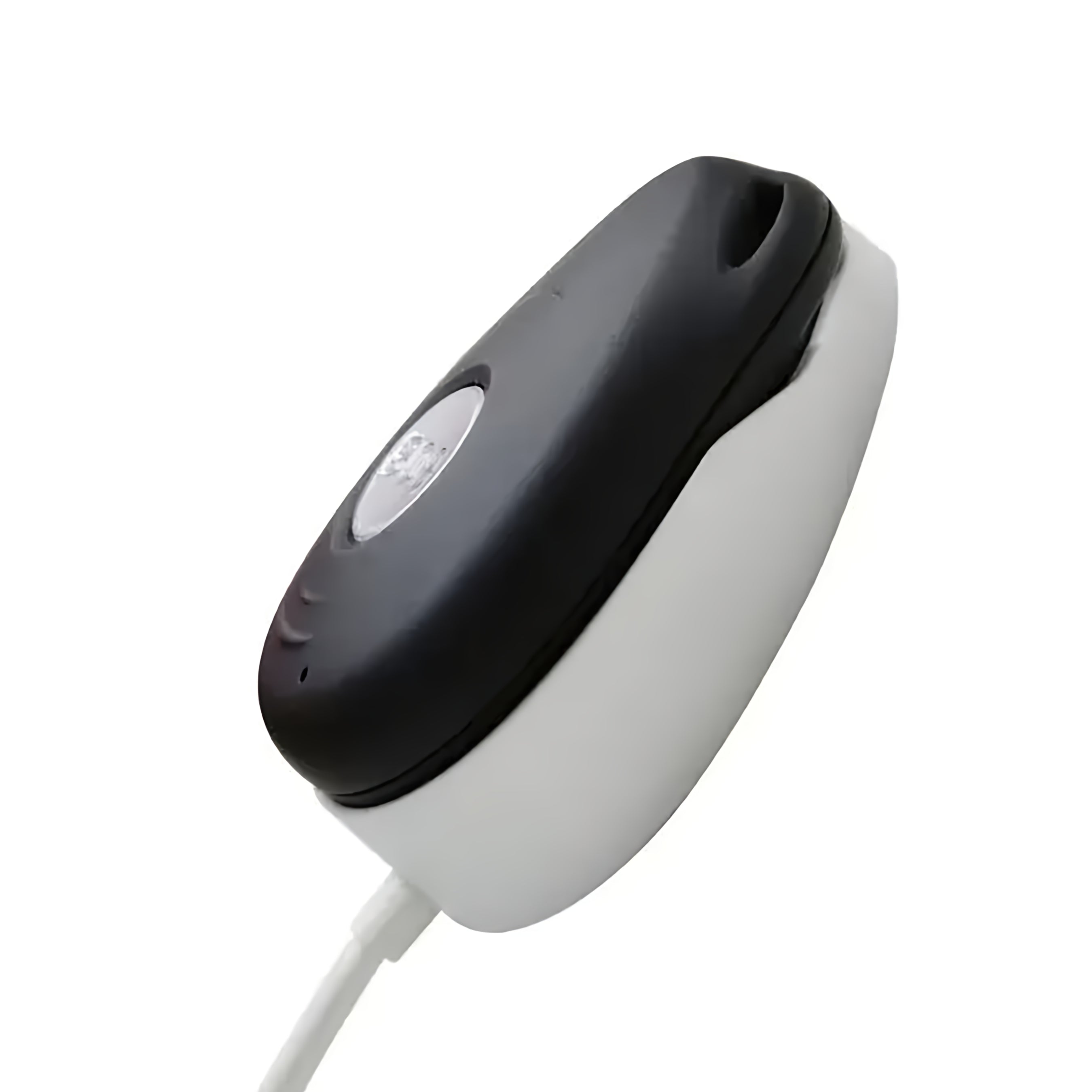 Wiesba Oplader voor WB65S