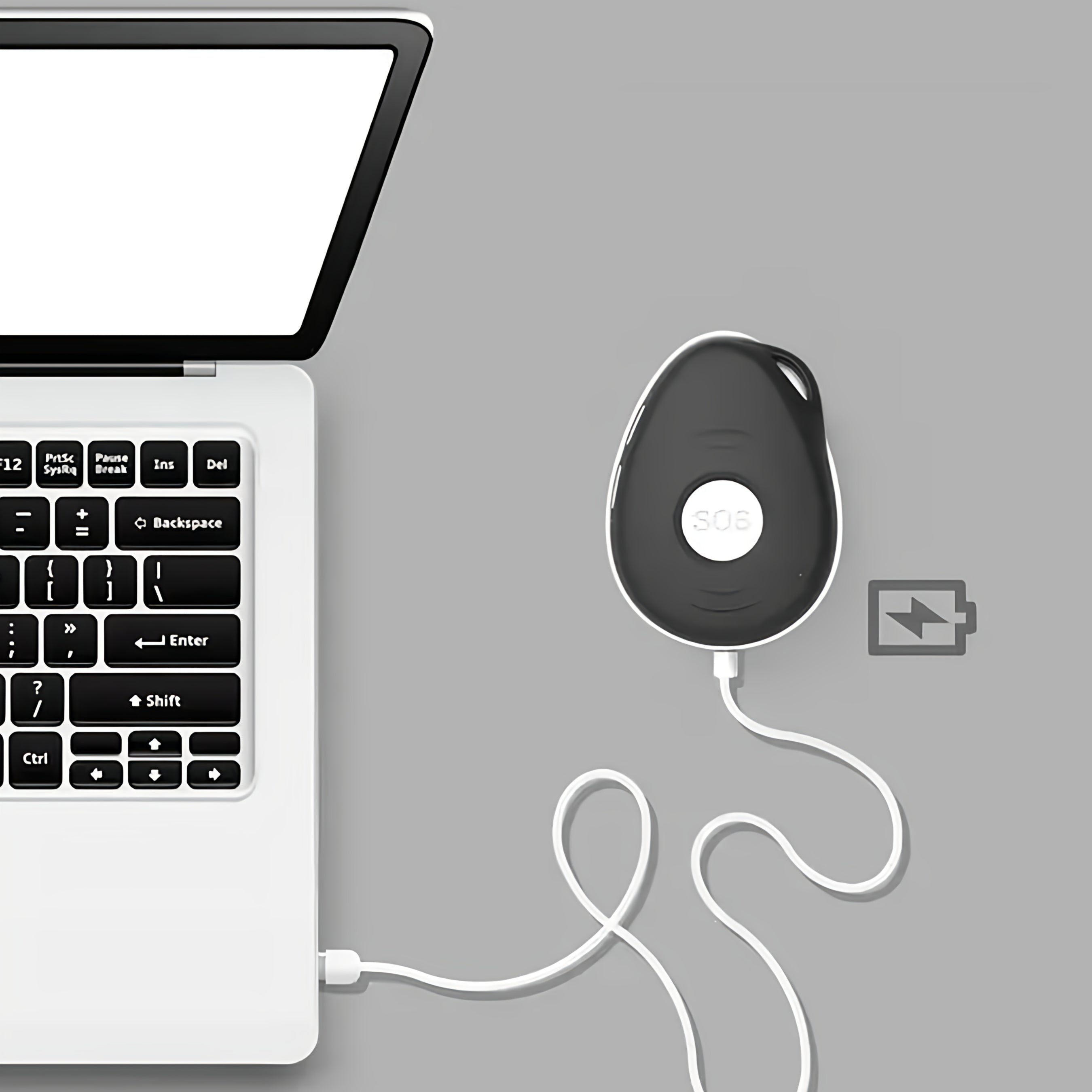 Wiesba Oplader voor WB65S