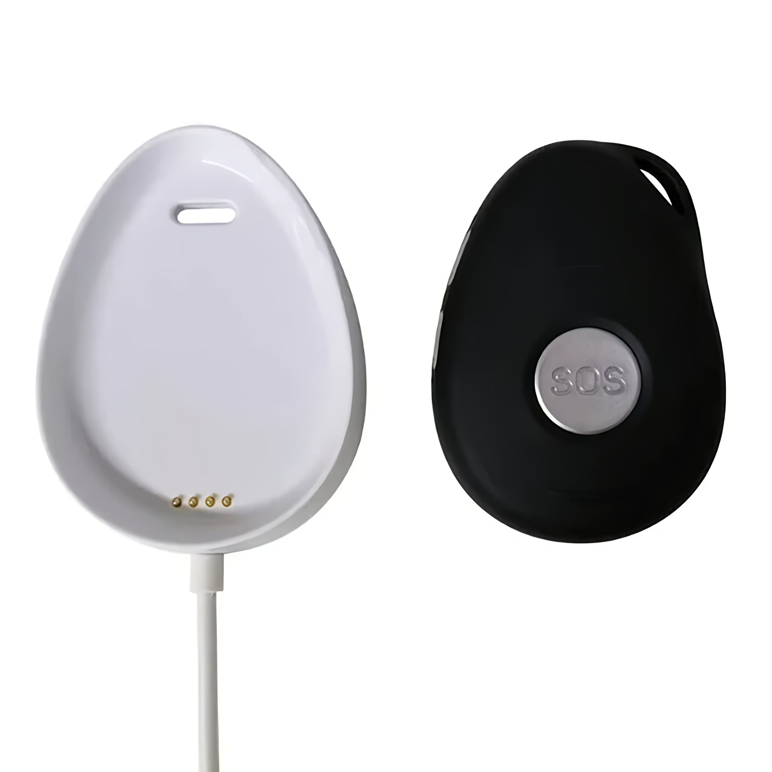 Wiesba Oplader voor WB65S