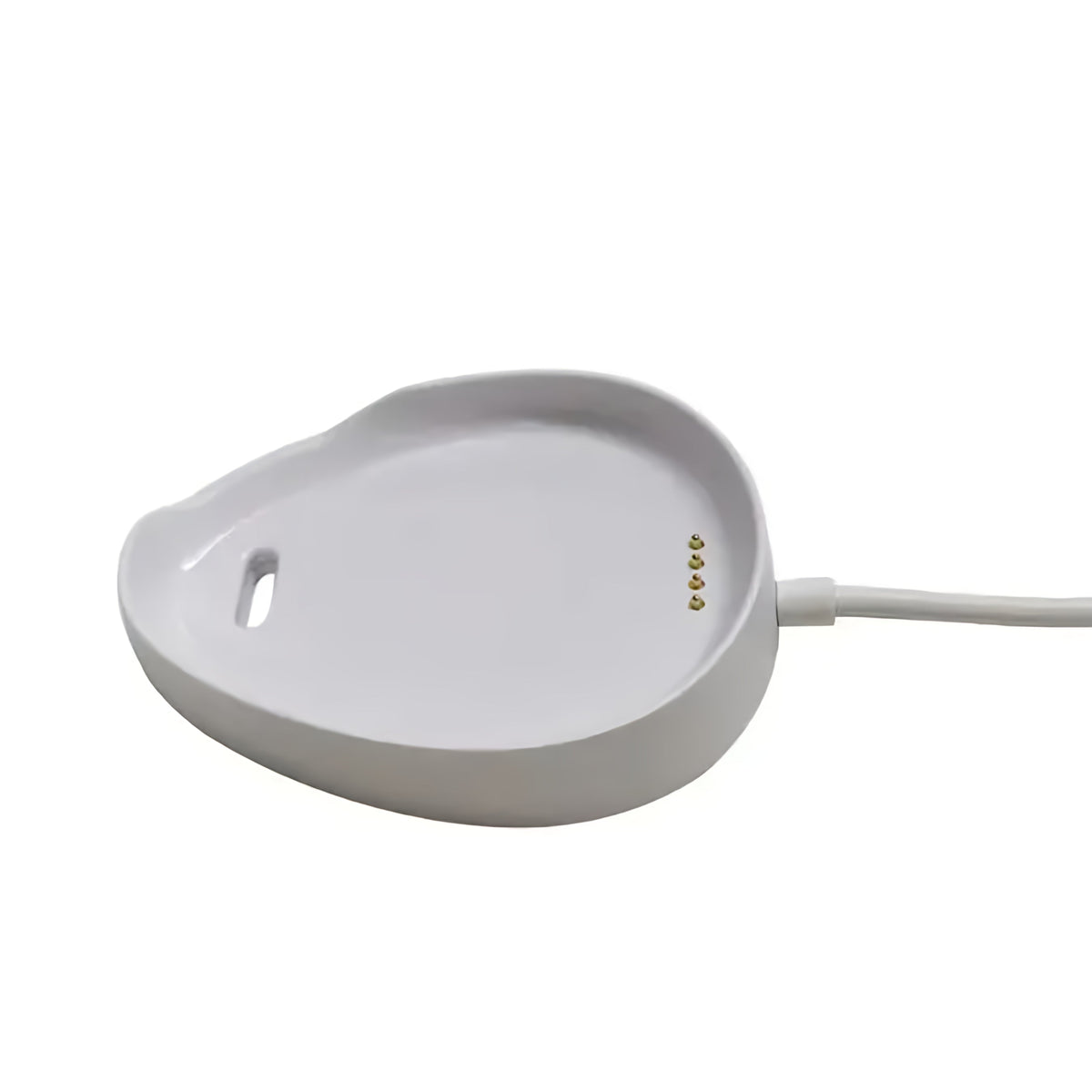 Wiesba Oplader voor WB65S