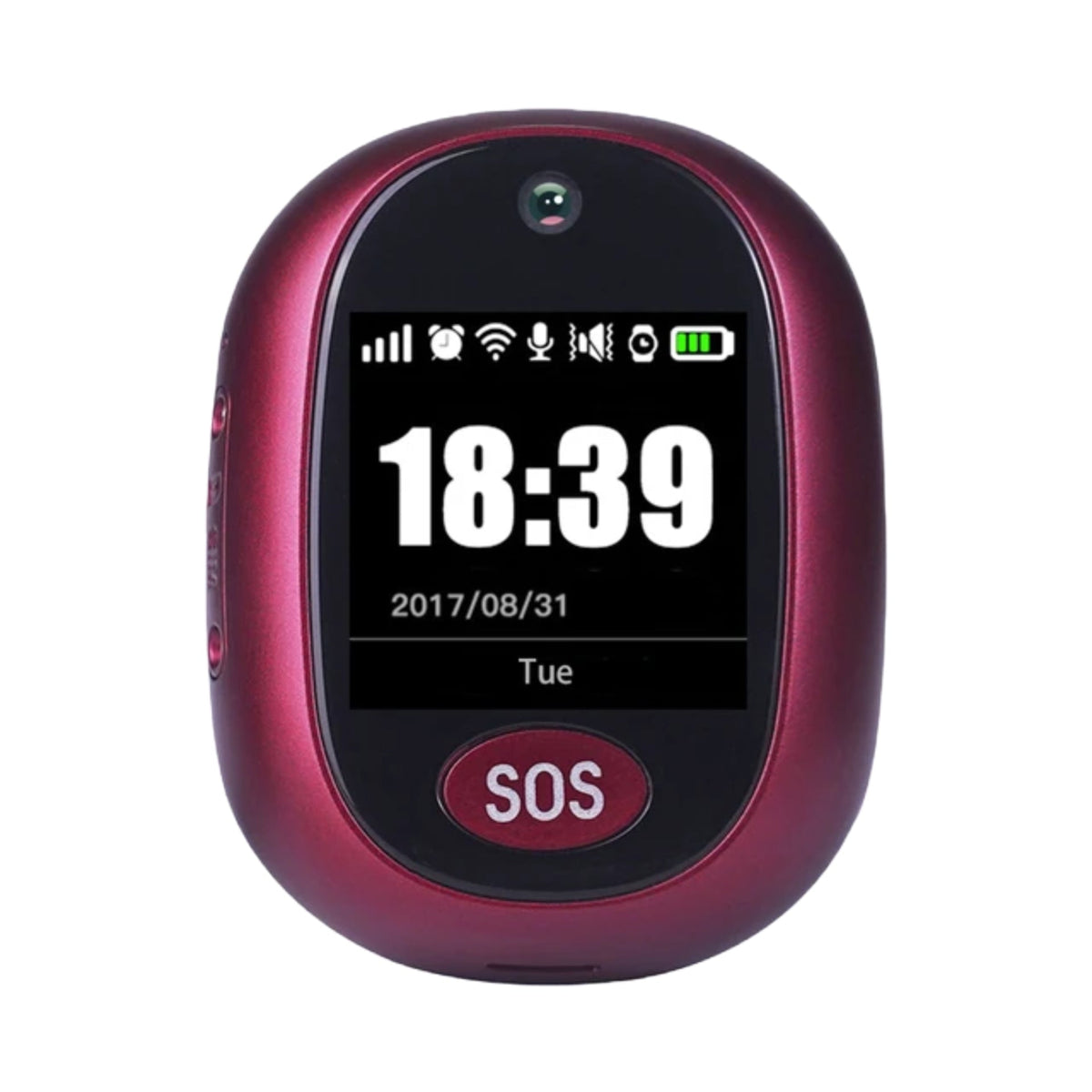 Wiesba WB63S SOS Alarmknop voor Senioren